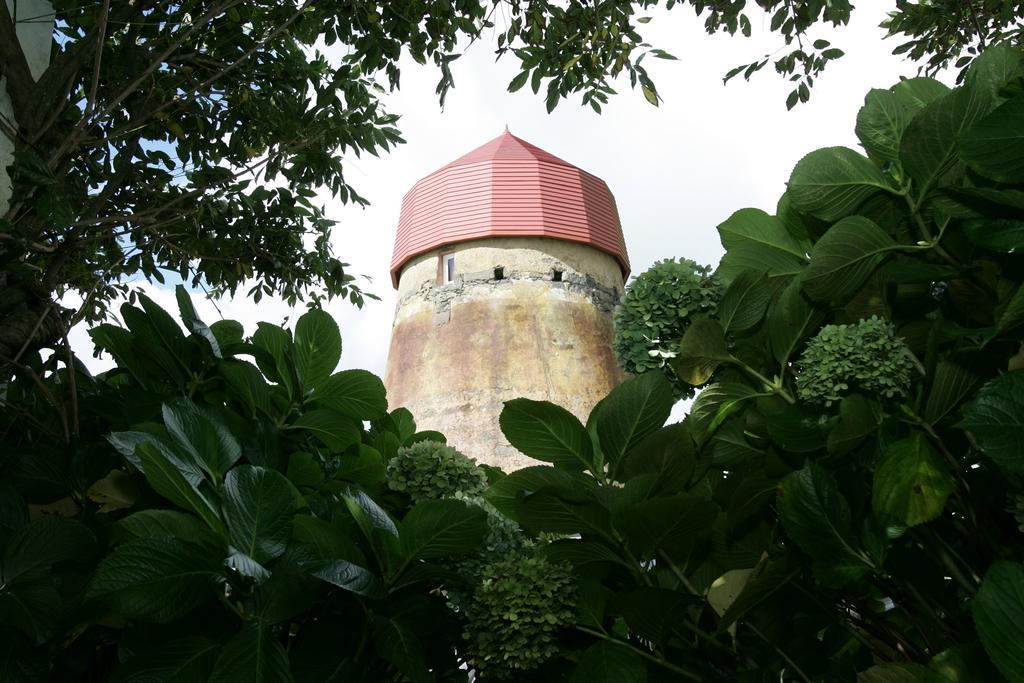 Villa O Moinho Da Bibi Candelária Esterno foto